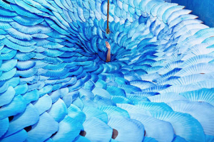 Jee Young Lee