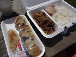 Mon assiette de dumplings coréens et bulgogi - délicieux!