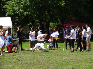 Plusieurs activités avaient lieu sur place!