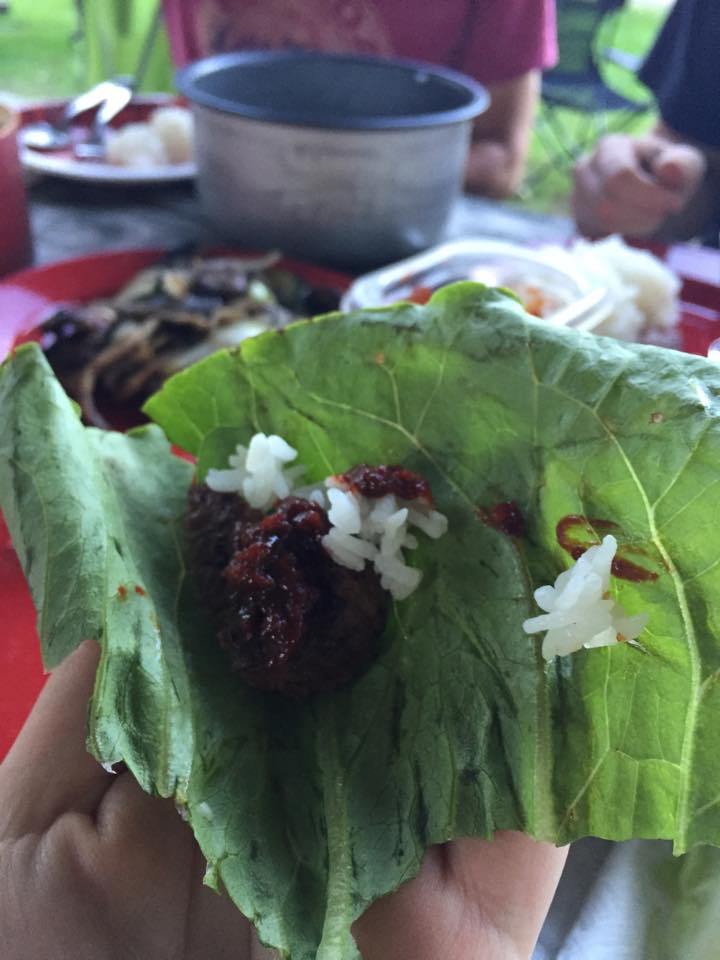 12021846_10153158546020732_1978652901_n