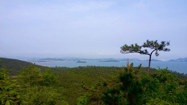 thumb_18035502_10155078537901425_1473035333_n_1024