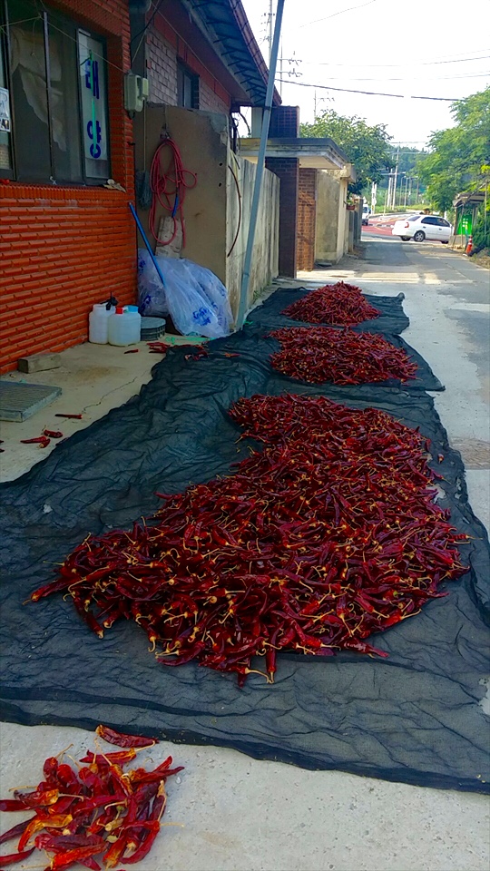 thumb_18051706_10155078629716425_245136532_n_1024