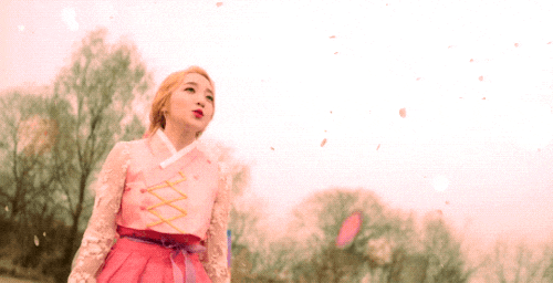 Image result for Hanboks kpop